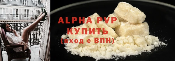 сатива Арсеньев