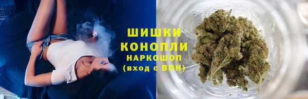 сатива Арсеньев