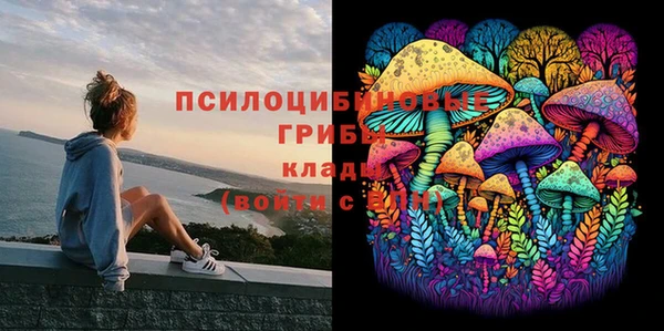 сатива Арсеньев