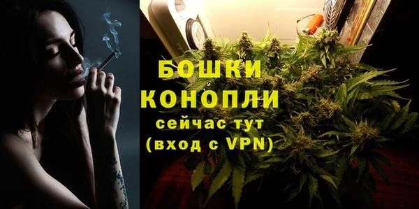 сатива Арсеньев