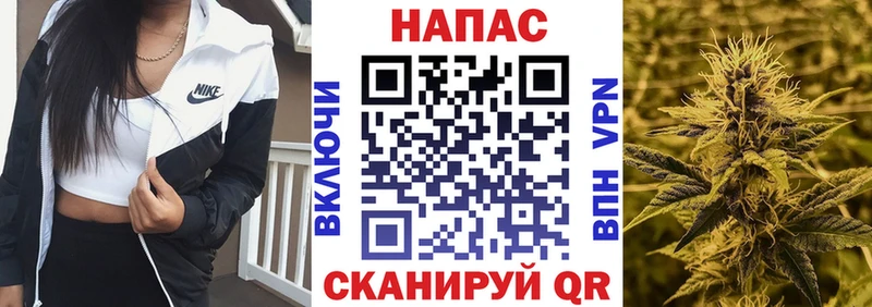 Бошки марихуана гибрид блэк спрут рабочий сайт Петушки